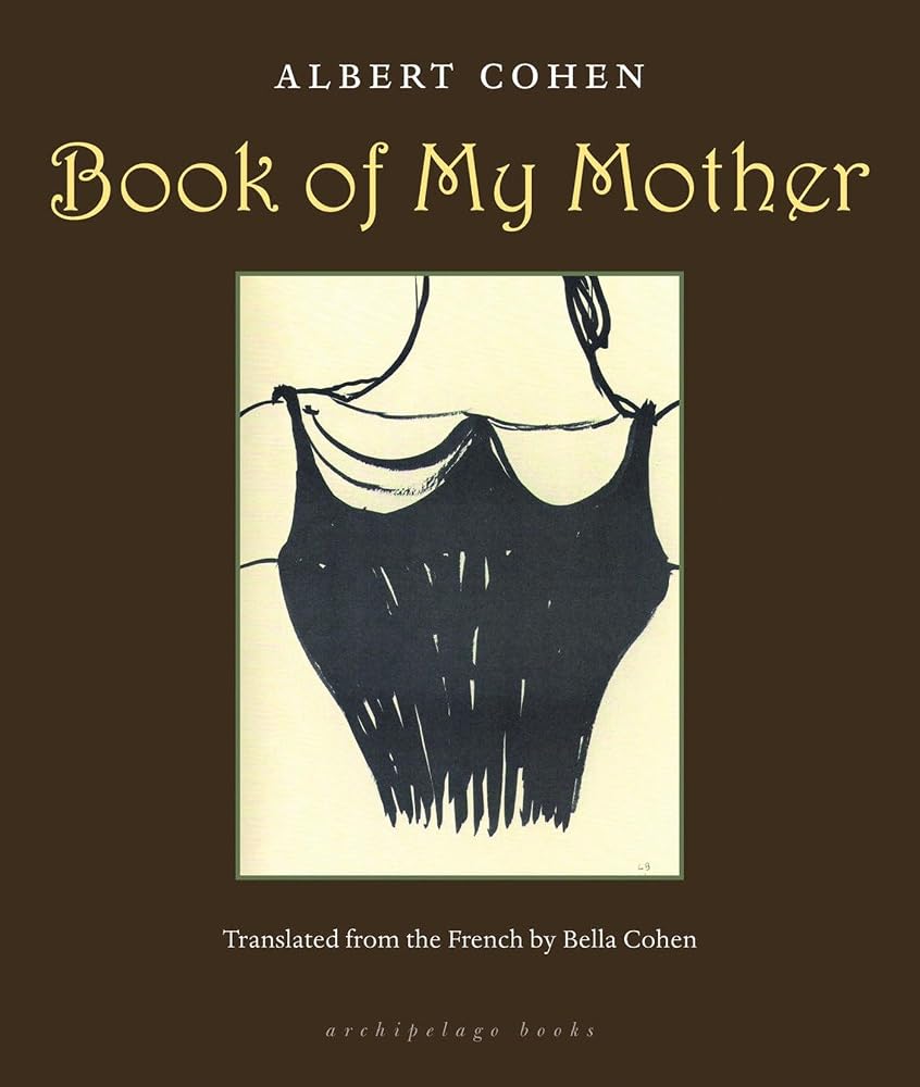 Book of My Mother cover image