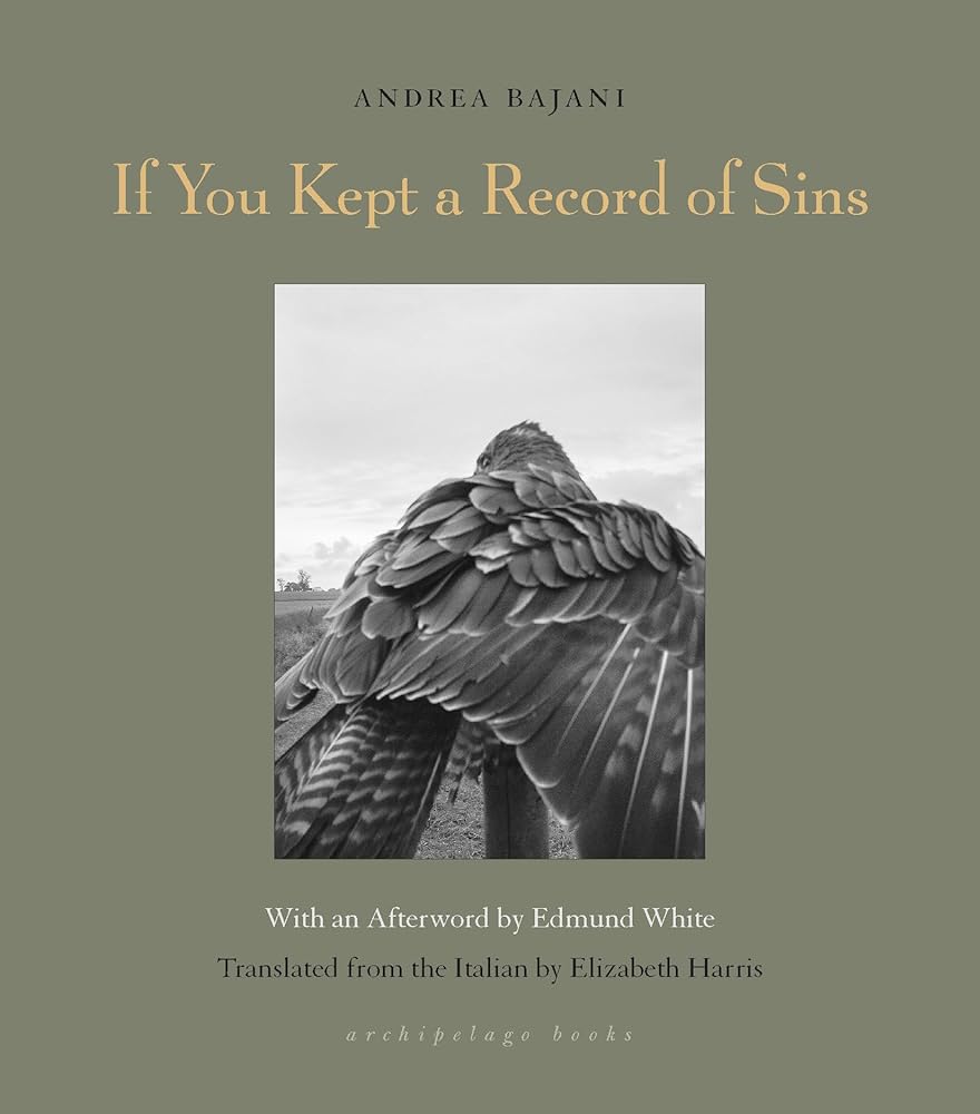 If You Kept a Record of Sins cover image