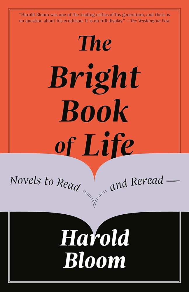 The Bright Book of Life: Novels to Read and Reread cover image
