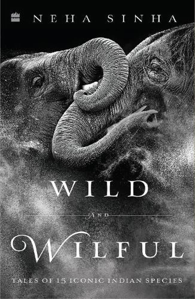 Wild And Wilful cover image