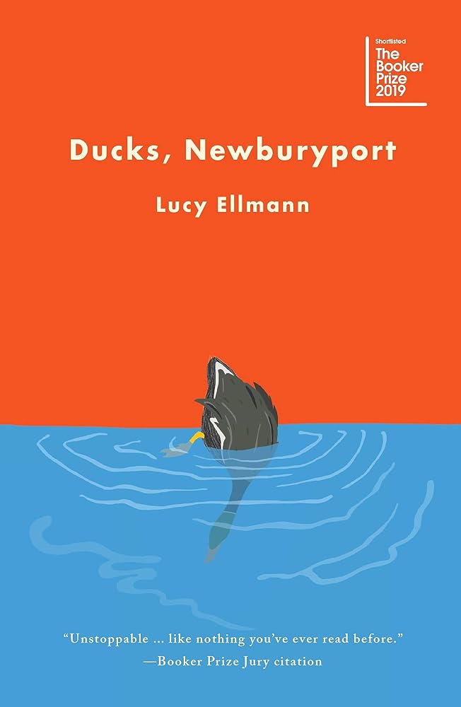 Ducks, Newburyport cover image